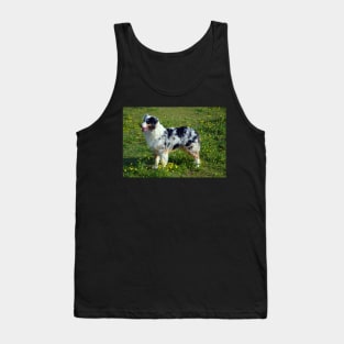 Australian Shepherd Tank Top